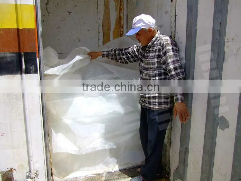 12 tons containerized ice machine for hot sale in Africa