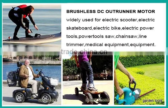 25mm 40v Waterproof Brushless DC Motor for Electric Bicycle
