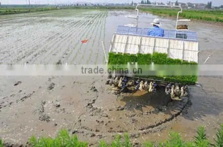 New Designed High Quality ISEKI Automatic Rice Transplanter