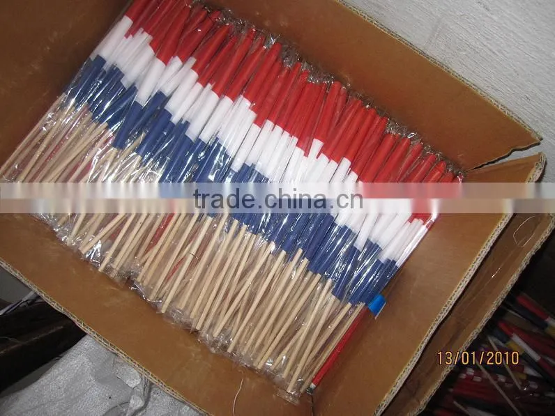 Brand new advertising custom beach flag hand flag