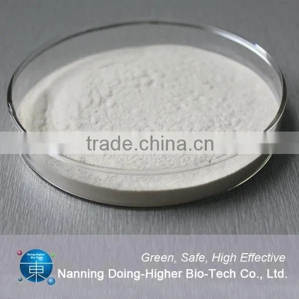 Meat glue transglutaminase