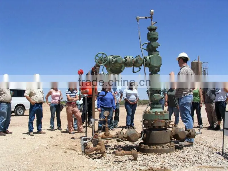 Oilfield christmas tree/Oil well X-mas Tree