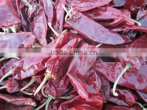 red chilli