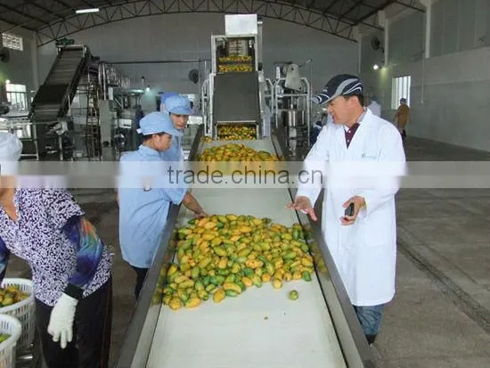 complete set of mango juice production plant