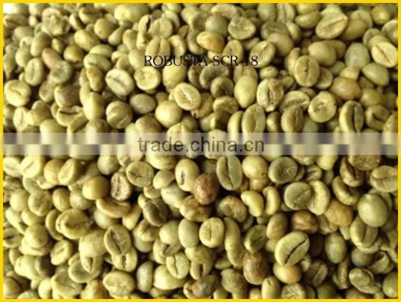 ROBUSTA COFFEE/ROBUSTA COFFEE FROM VIETNAM BEST PRICE SEASON 2016