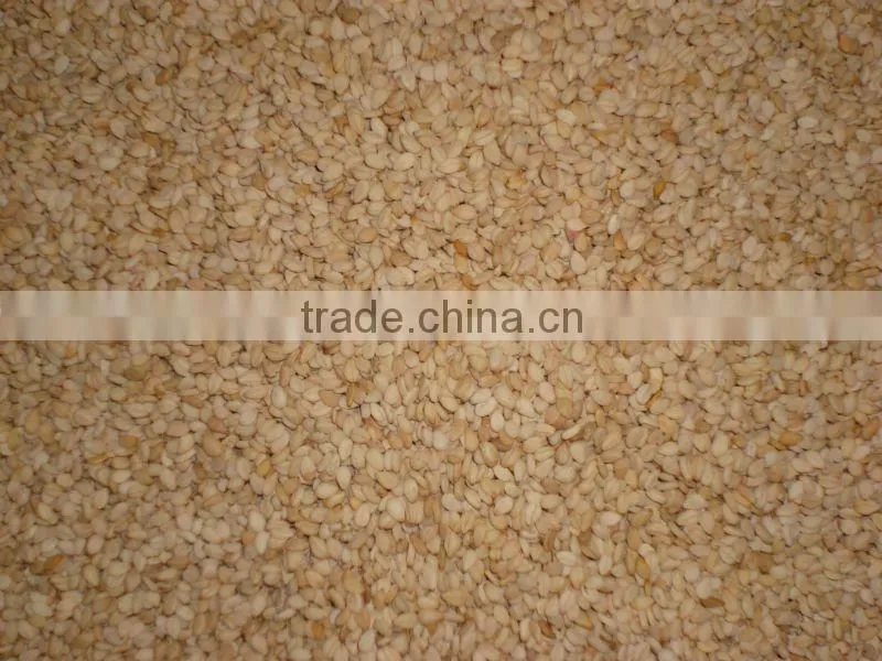 Sesame Seed