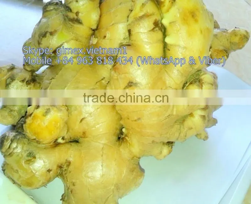 old Ginger IN Viet nam