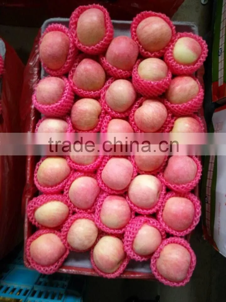 Red mature apple