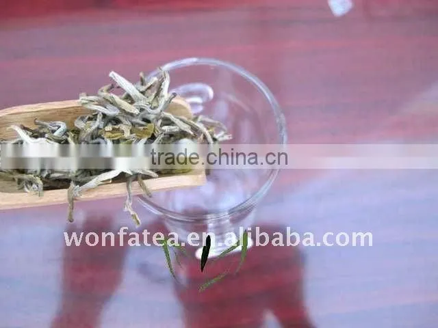 China jasmine tea