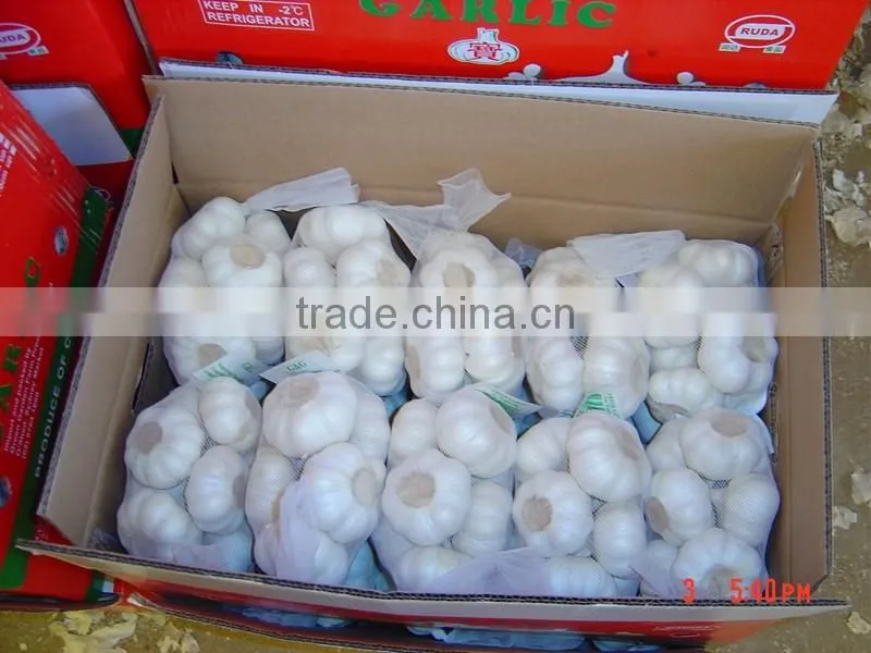 Low Price Buy Chinese Garlic