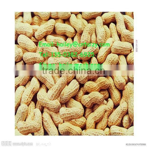 low price nut sheller