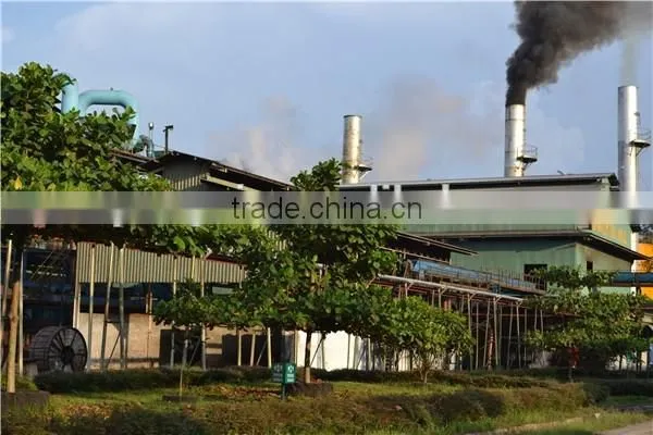 All kinds of size /samll scale palm oil refining machinery