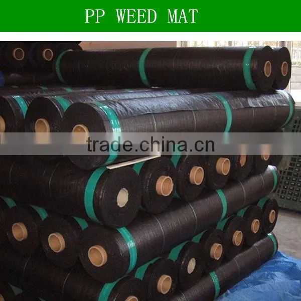 Agricultural garden/greenhouse pp weed mat ground cover