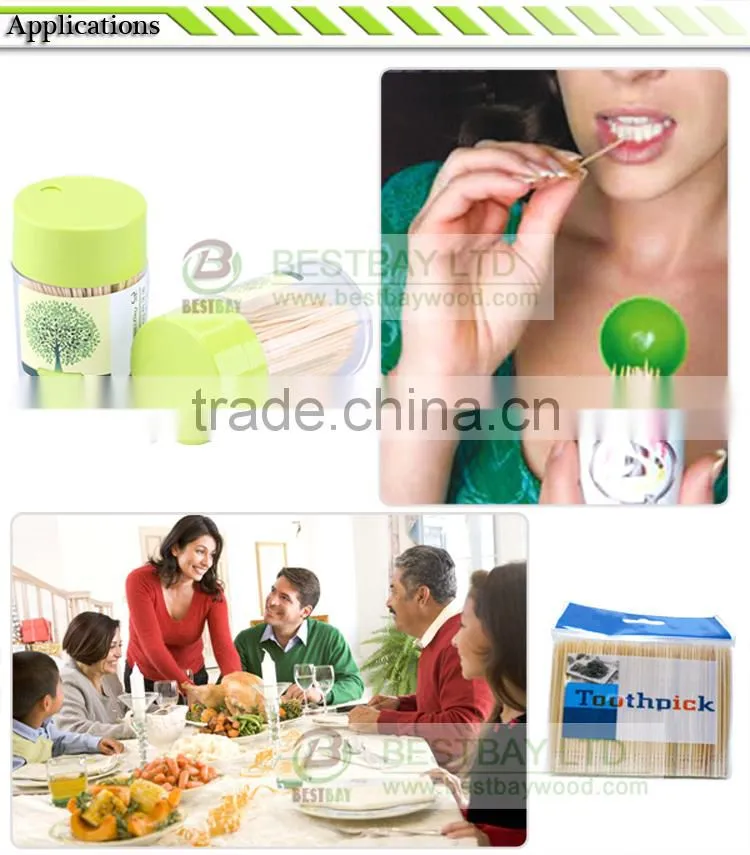 Two point bamboo toothpick