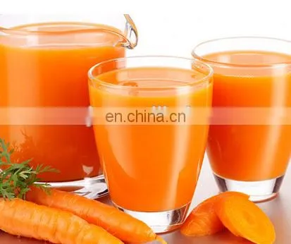 Multi-purpose Fruit And Vegetable Juicer / Industrial Pineapple Juice Extractor Machine | Pineapple Juice Extractor Machine