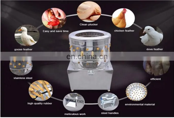 98% Unhairing Rate Chicken Plucking Machine Chicken Killing Machine For Sale