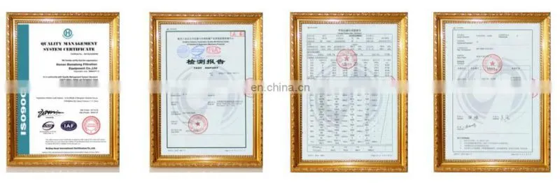 Hot Sale Product!!! For GRANCH hydraulic oil filter element bd06080425u