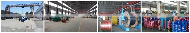 Electro/Hot Dipped galvanized welded iron wire mesh Factory