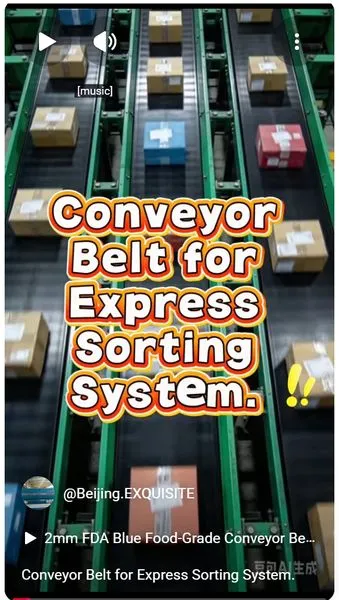 Conveyor Belt for Express Sorting System
