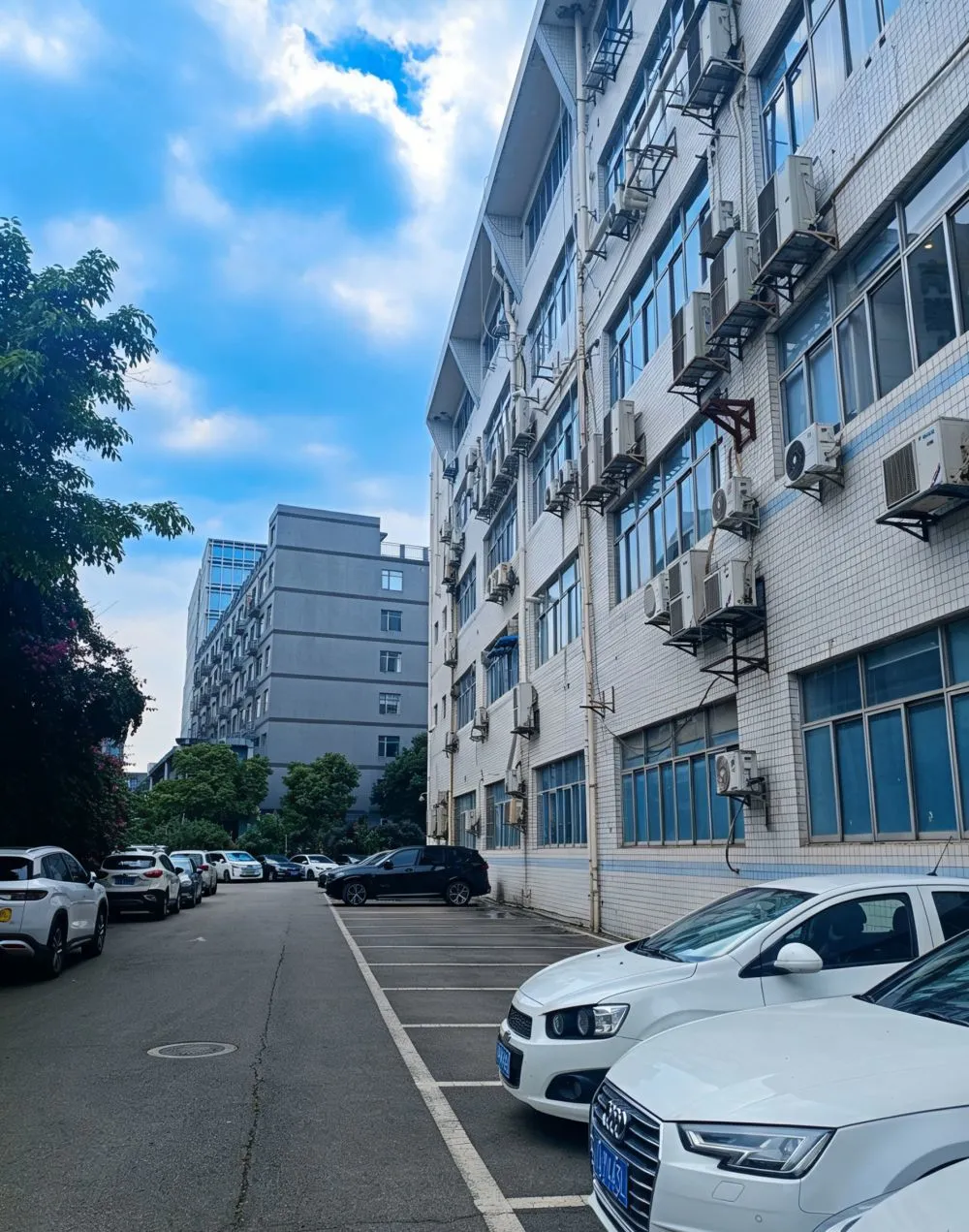 Why did they choose Angtong Technology's optical modules