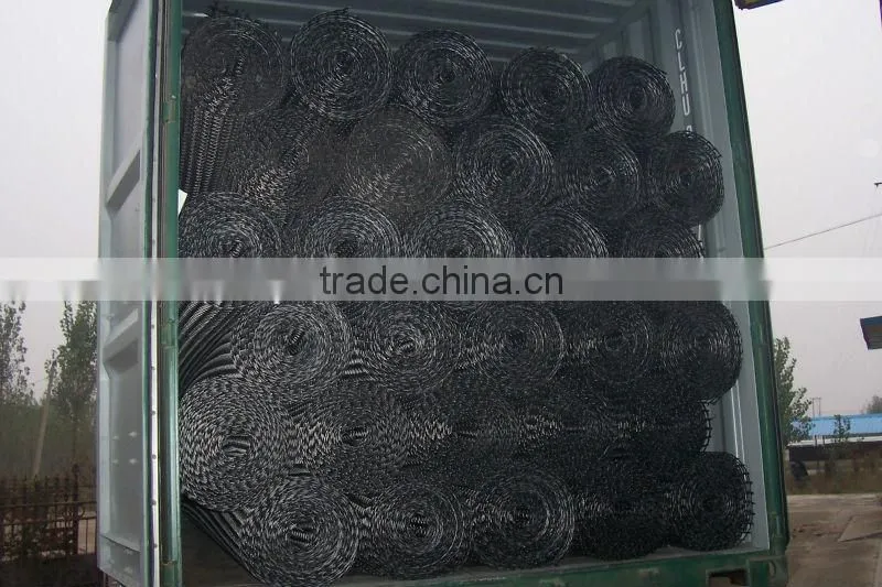 Reinforcement Biaxial Geogrid for roadbed