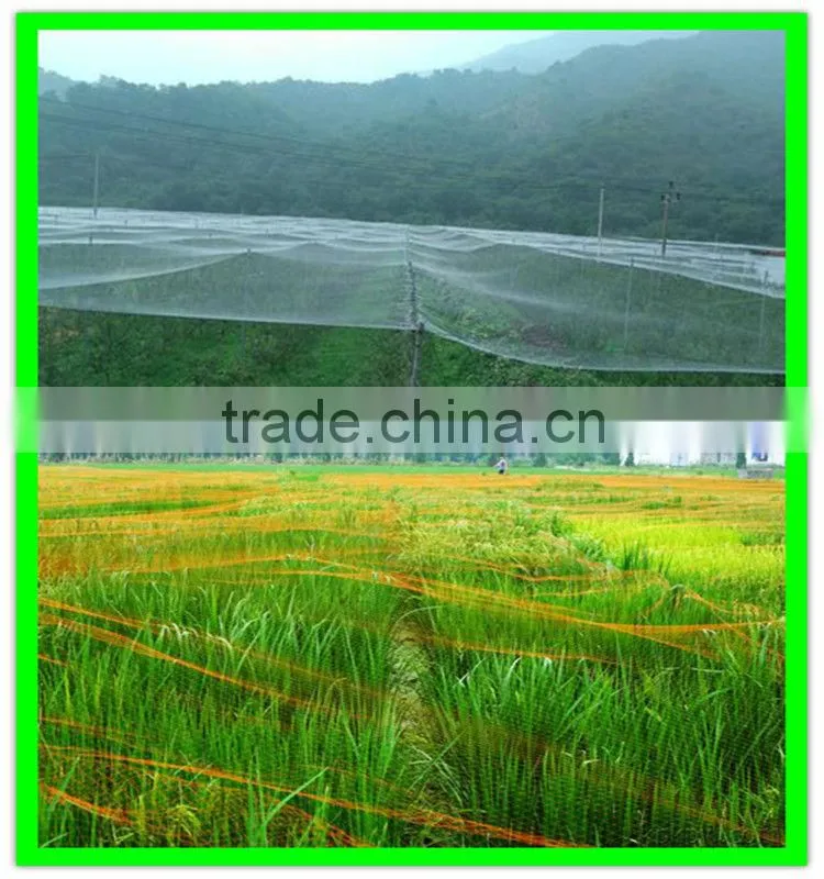 light weight extruded new hdpe bird netting fruits tree covering trellis mesh