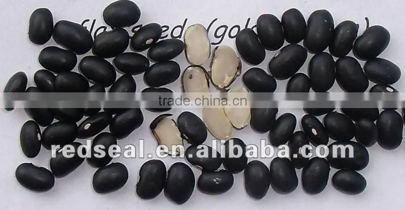 Small Black kidney beans