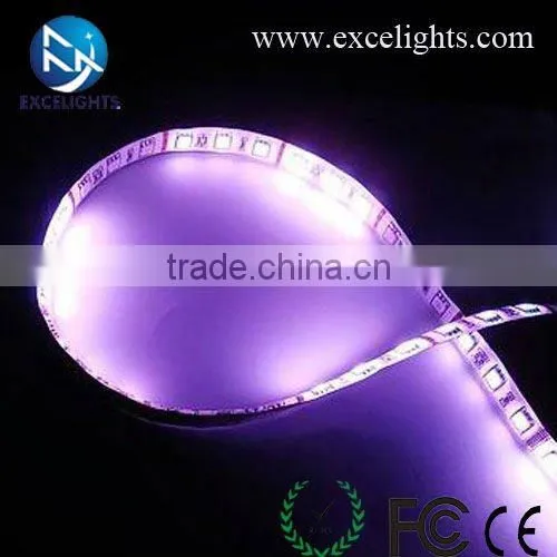12V LED Rope Light