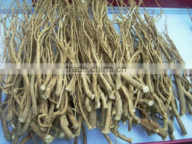 Pure and Natural aromatheraphy bupleurum herbal Oil/Chinese Thorowax Root Extract