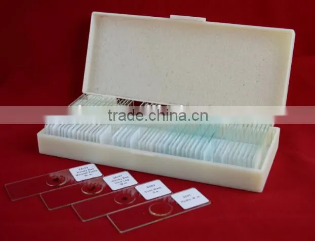 Microscope prepared slides parasite slides