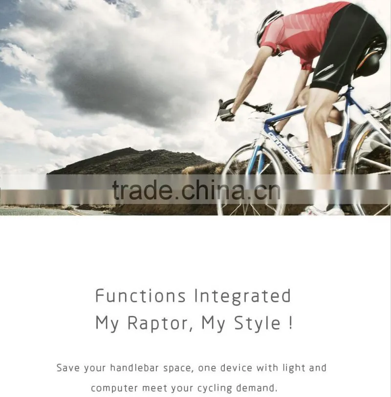 300 lm CREE LED bike lighting system