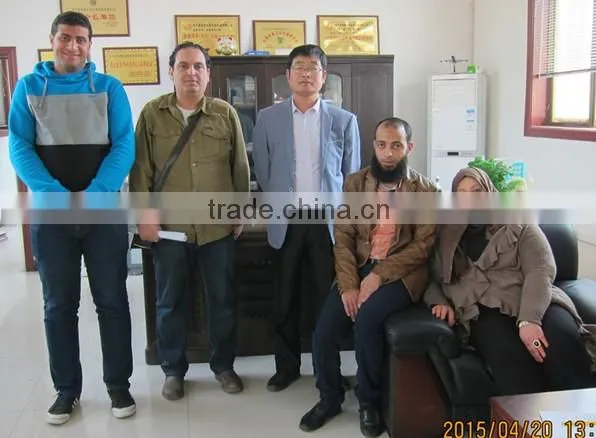 Automatic Welded Wire Mesh Machine For PVC Coated Wire Mesh ISO9001&CE Factory
