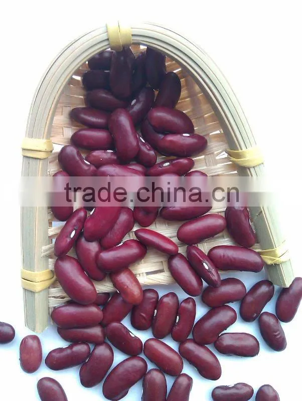 Red Kidney Bean( British type, Heilongjiang origin.2011 Crop,hps)