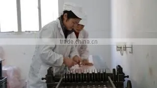 Shanghai Hengyuan Macromolecular Materials Co., Ltd. company overview - view 3