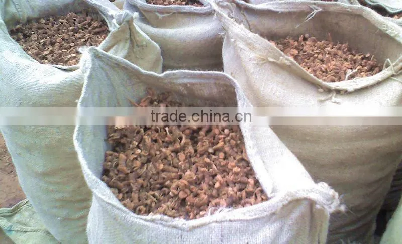 Chinese New Crop Natural 100% Pure Big Size Red Galangal Roots