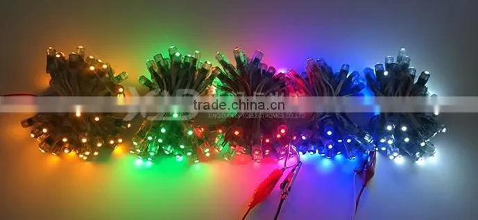 Single Color Waterproof LED Pixel Light Decoration Light Christmas Light