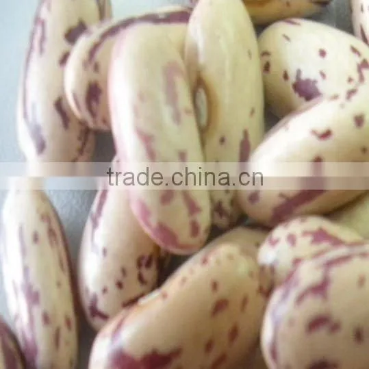 yian kidney beans