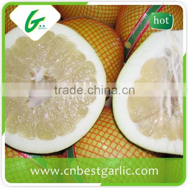 Fresh sweet honey pomelo from china