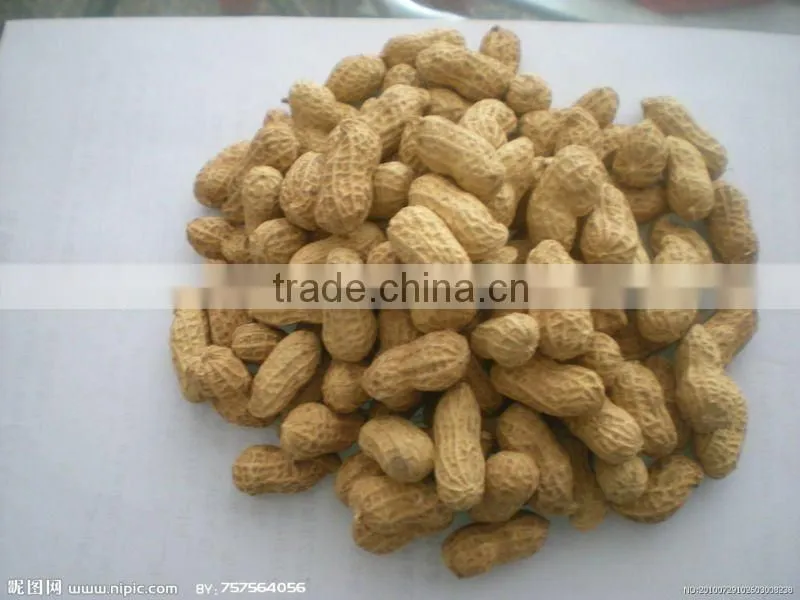 supply all kinds of peanut and peanut product