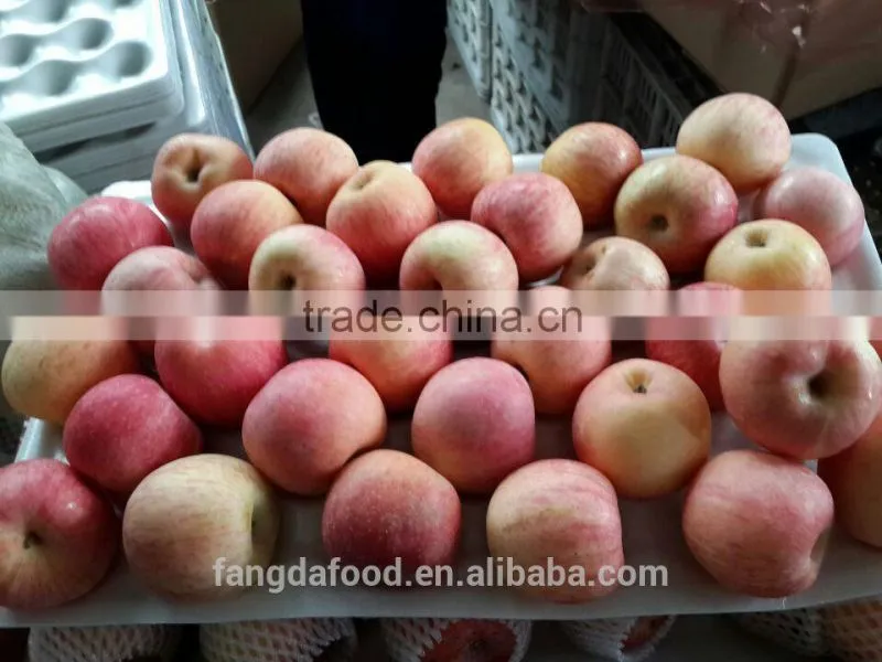 yantai fresh apple/china fresh apple