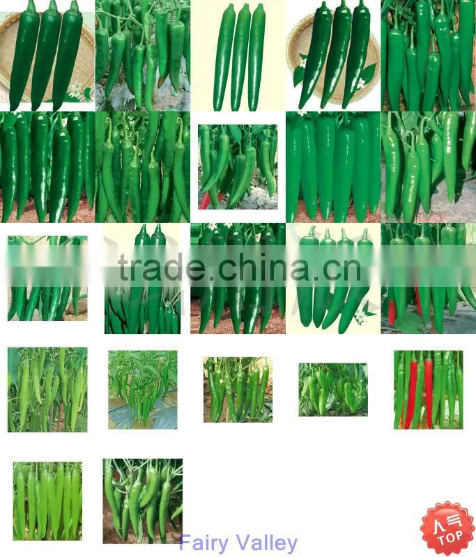 Chinese vegetable yellow Pepper Seeds for planting-Yellow Imperial Chili F1