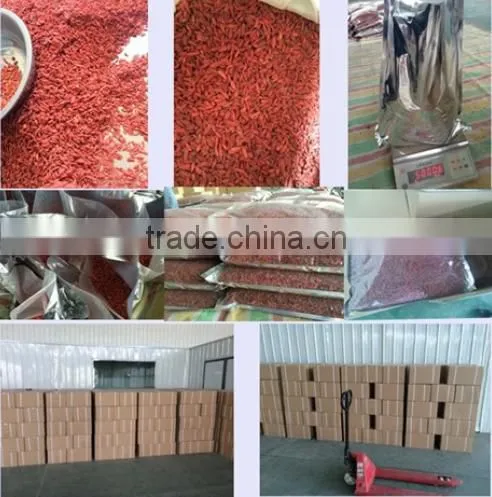 High quality dried organic goji berries