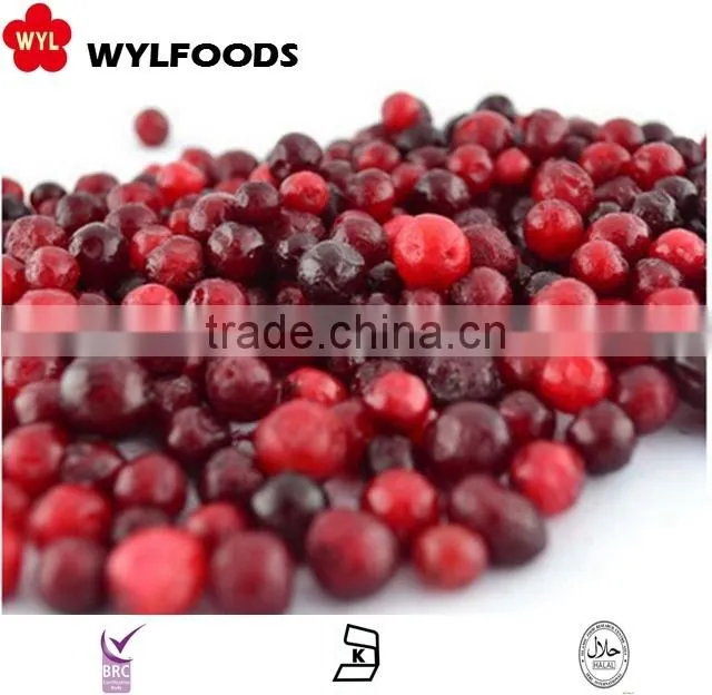 IQF china price for frozen linggonberry hot sales