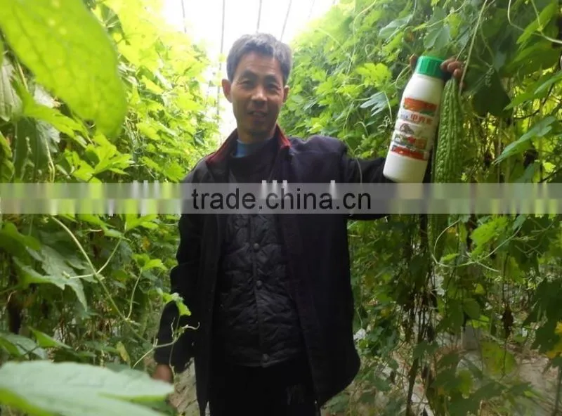 China ISO/ IMO /IAF supplier liquid chitosn oligo bio pesticide fertilizer for agriculture