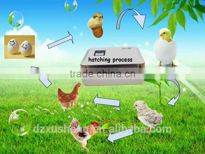 full automatic poultry egg incubator/60 chicken egg incubator hatchery machine