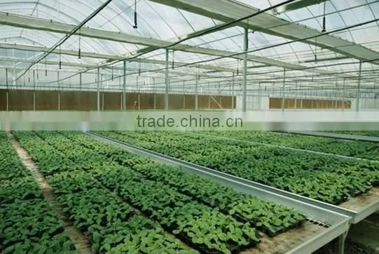 Greenhouse seedbed benches for cultivation system