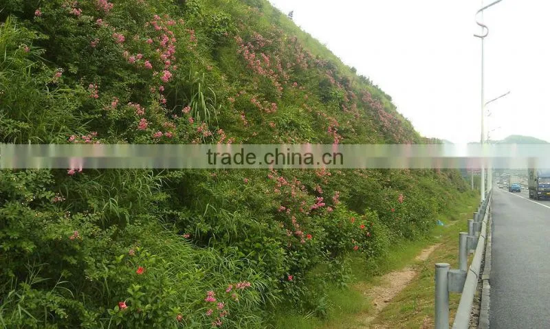China highway slope green soil spraying machine price