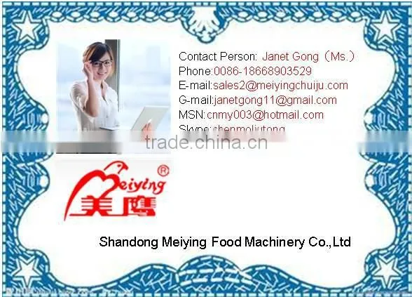 professional stainless steel dough mixer for bakery industry