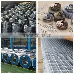 china wholesale high quality galvanized steel coil/stainless steel coil 304