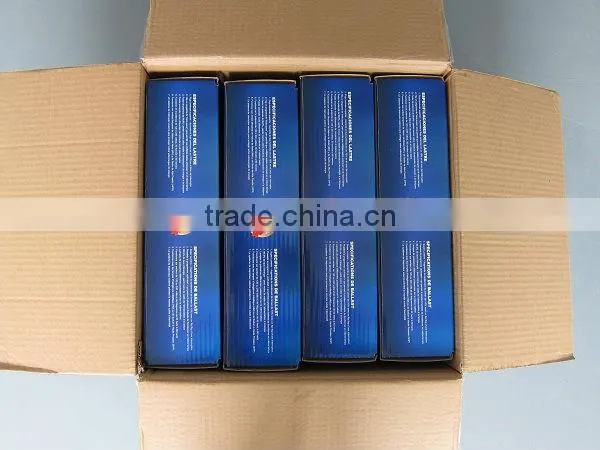Fluorescent light ballast,growing ballast 1000w